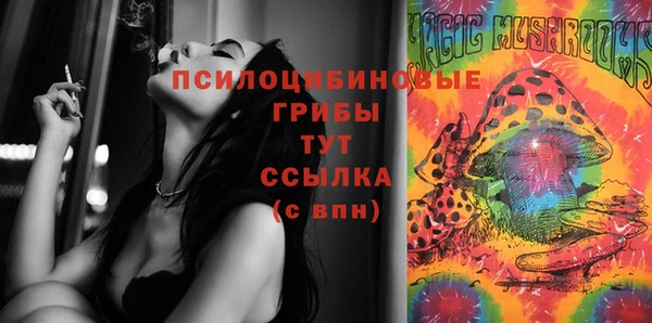 стаф Алексеевка