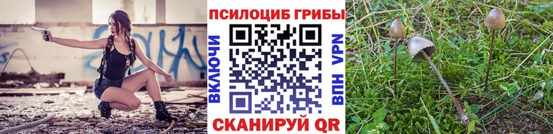 Псилоцибиновые грибы ЛСД  KRAKEN ссылки  Сим 
